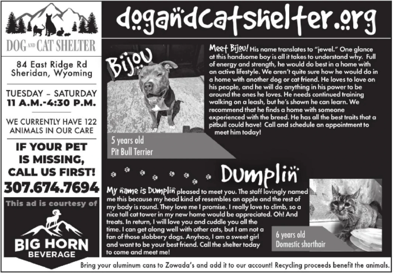Ad promo image large