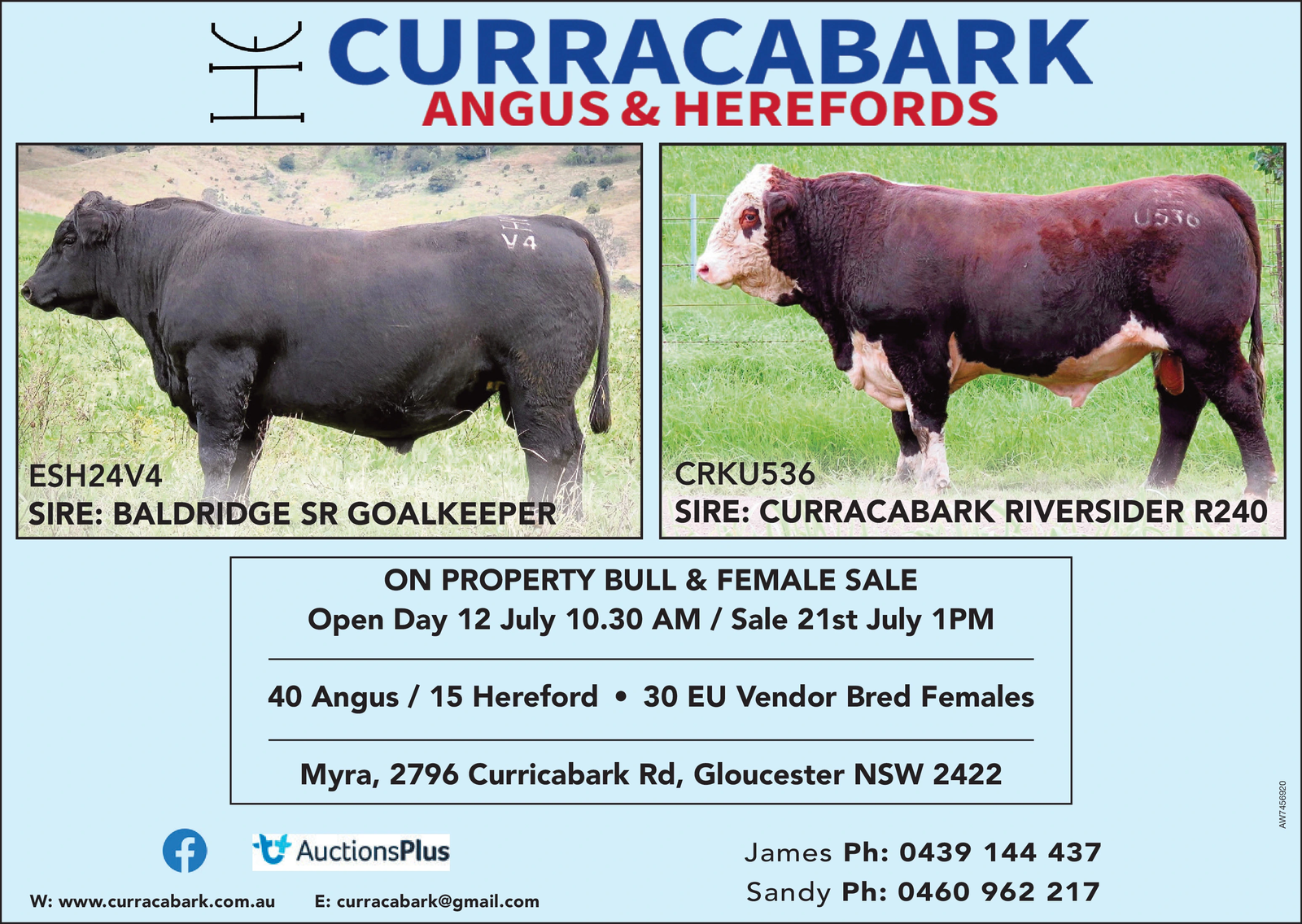 Ad promo image large