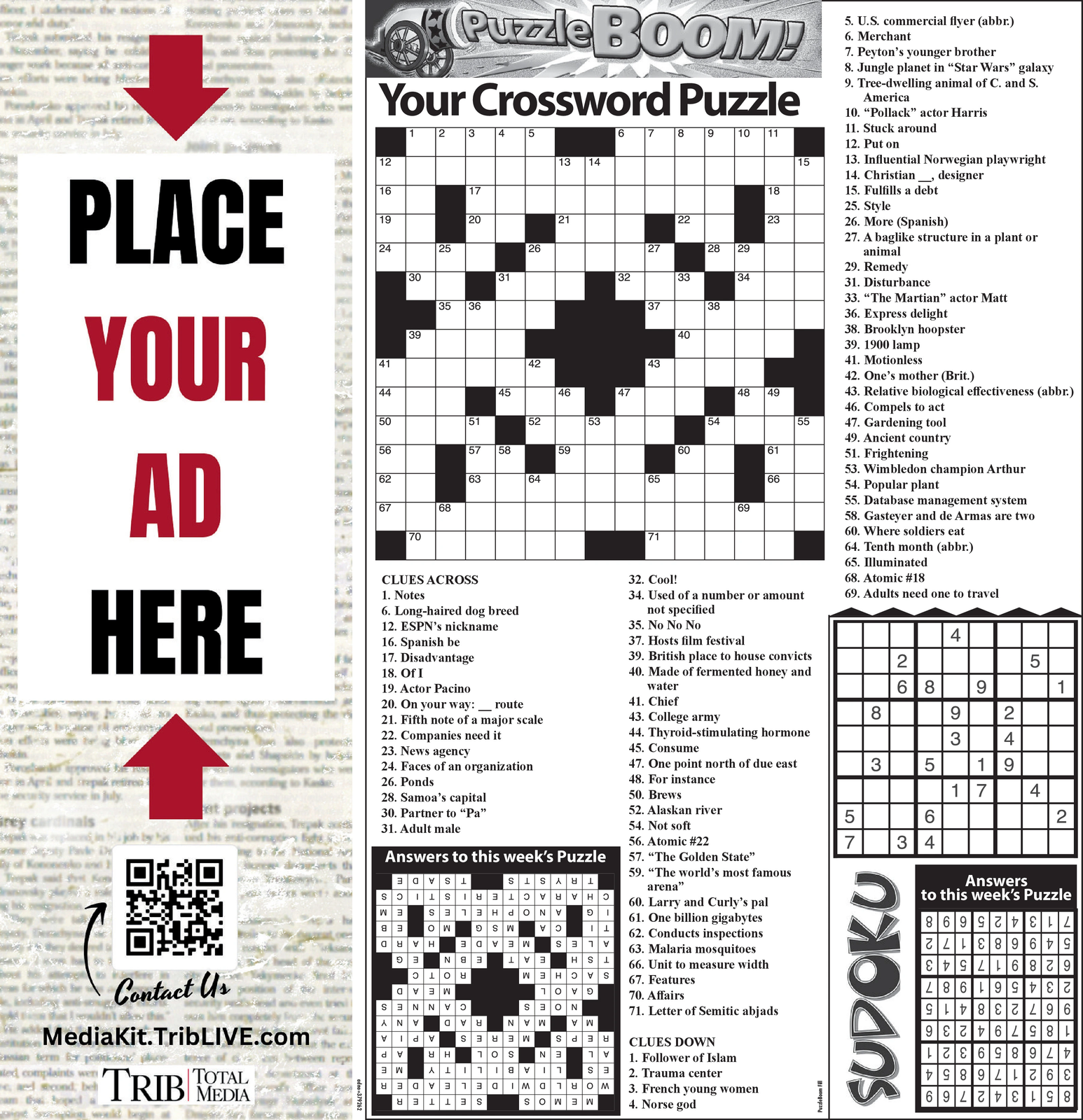 Ad promo image large