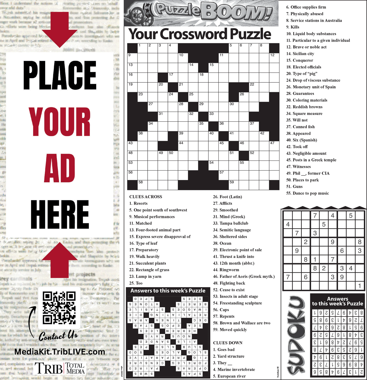 Ad promo image large