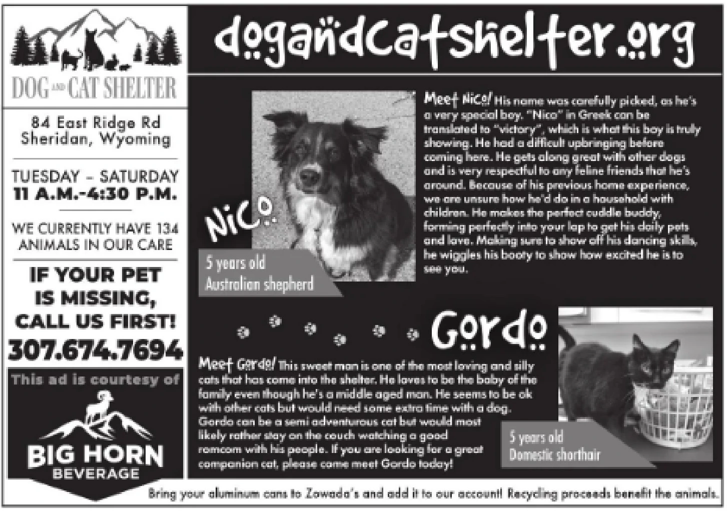 Ad promo image large