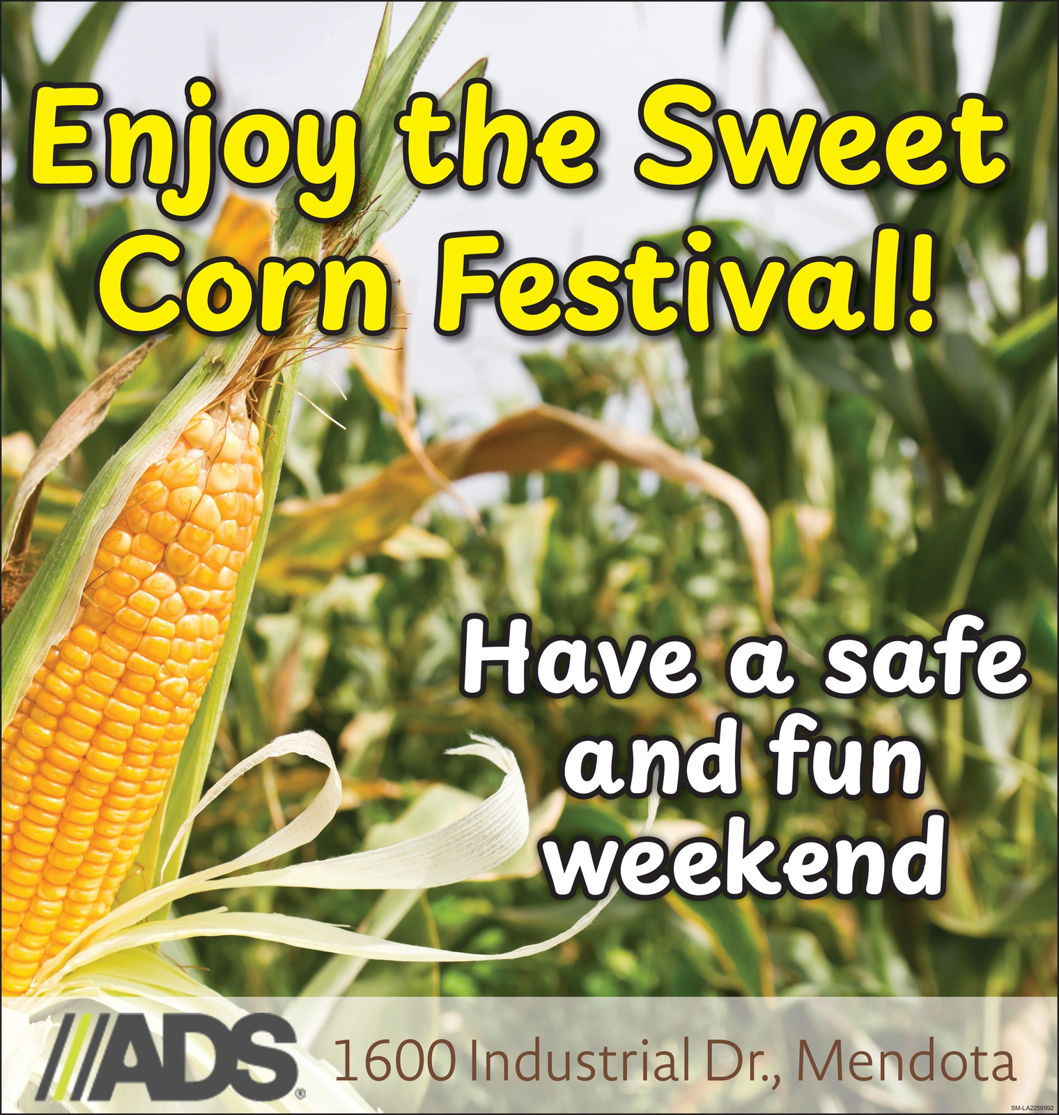 Ad promo image large