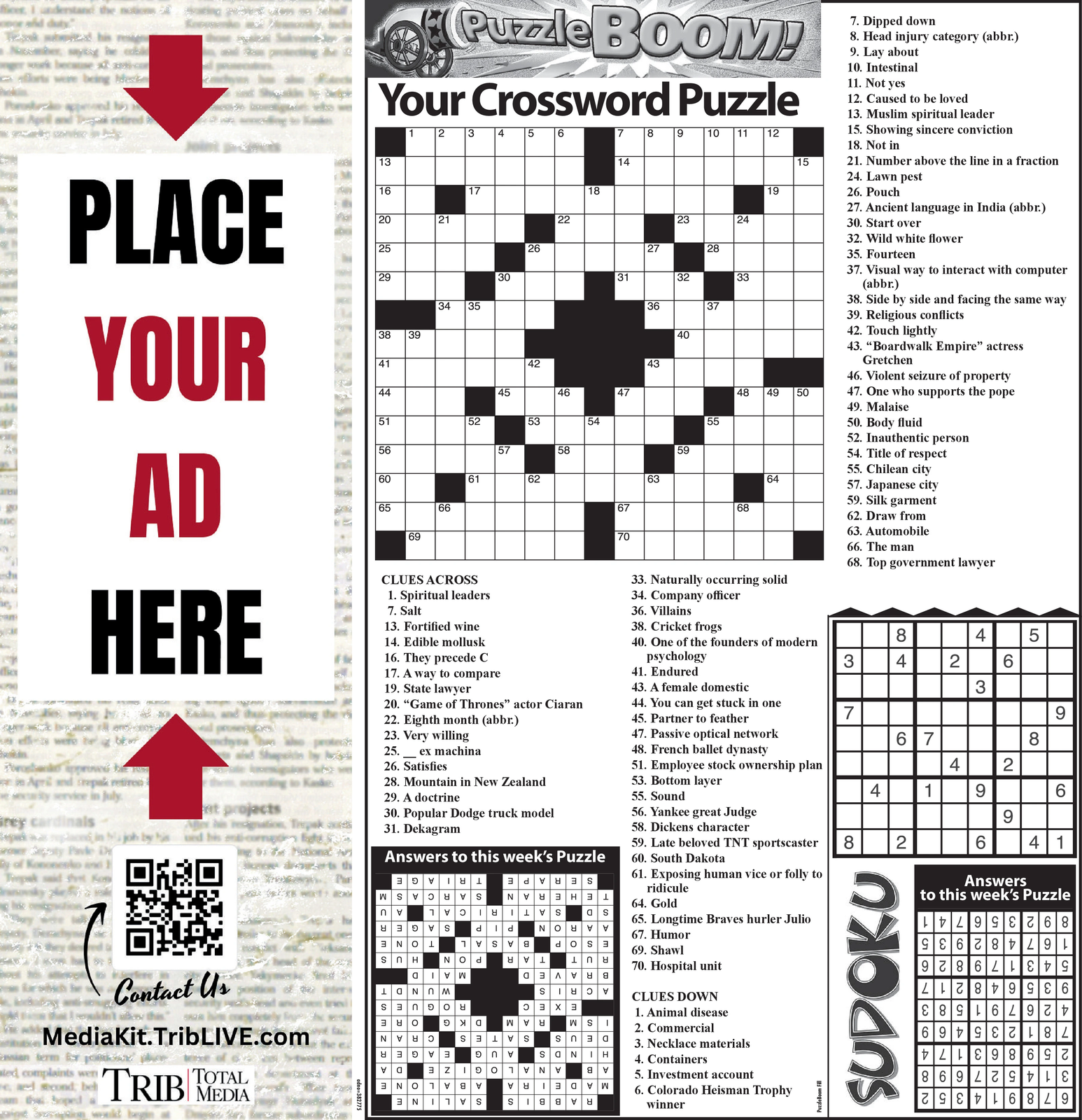 Ad promo image large