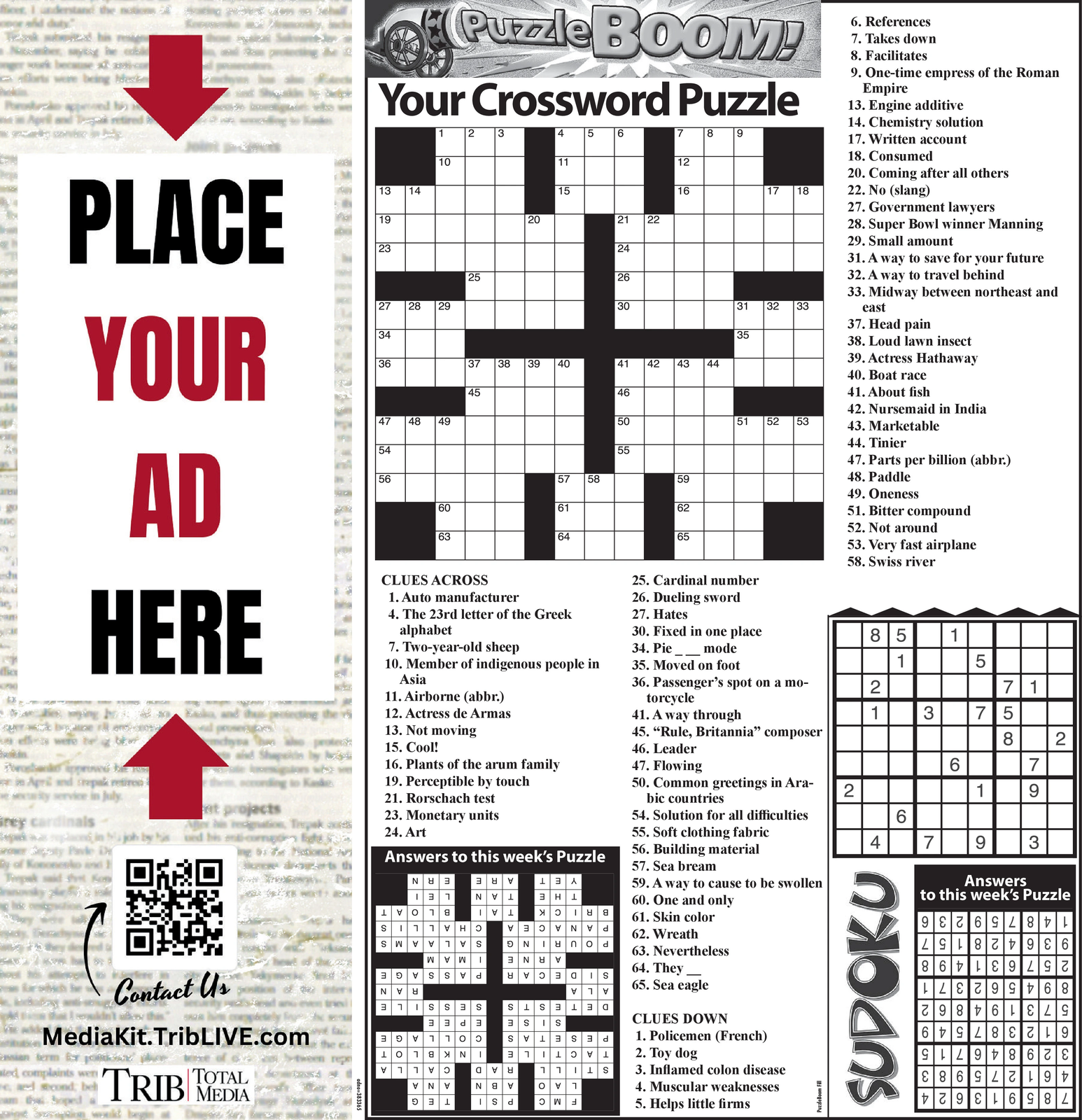 Ad promo image large