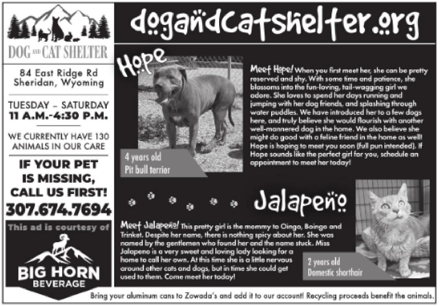 Ad promo image large
