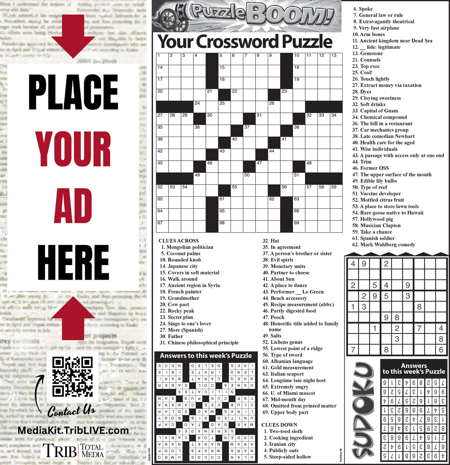 Ad promo image large