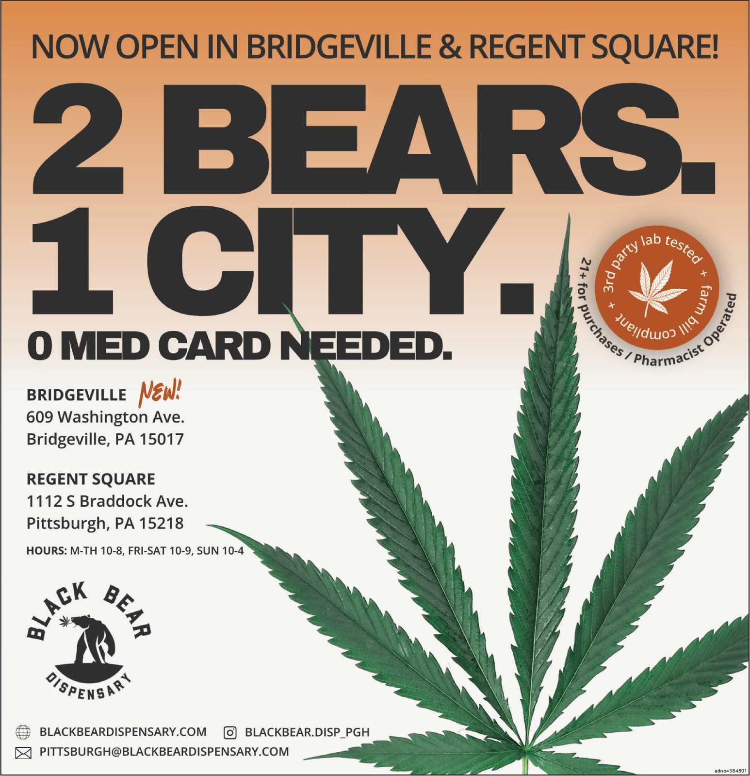 Ad promo image large