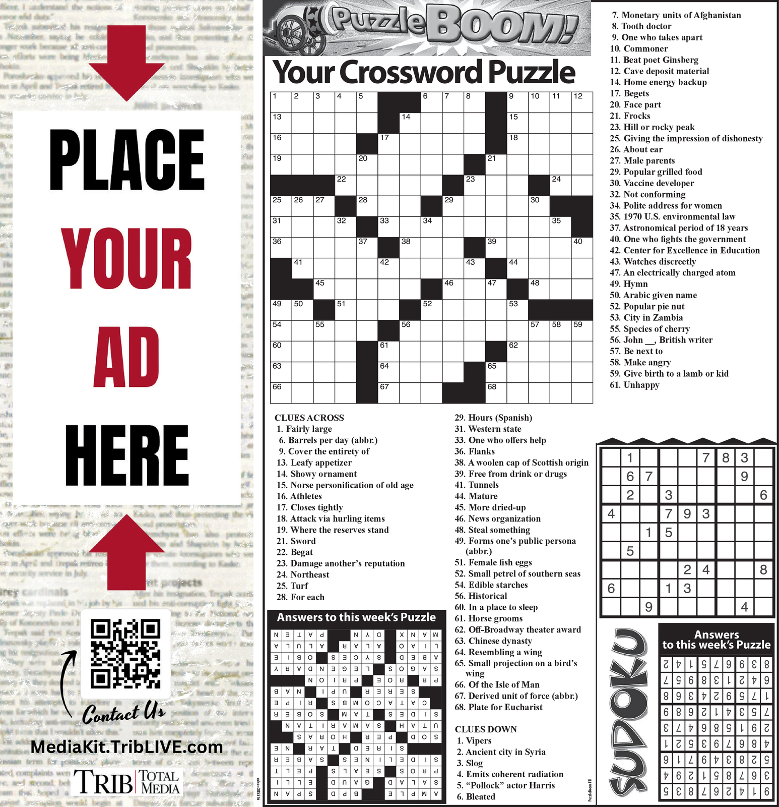 Ad promo image large