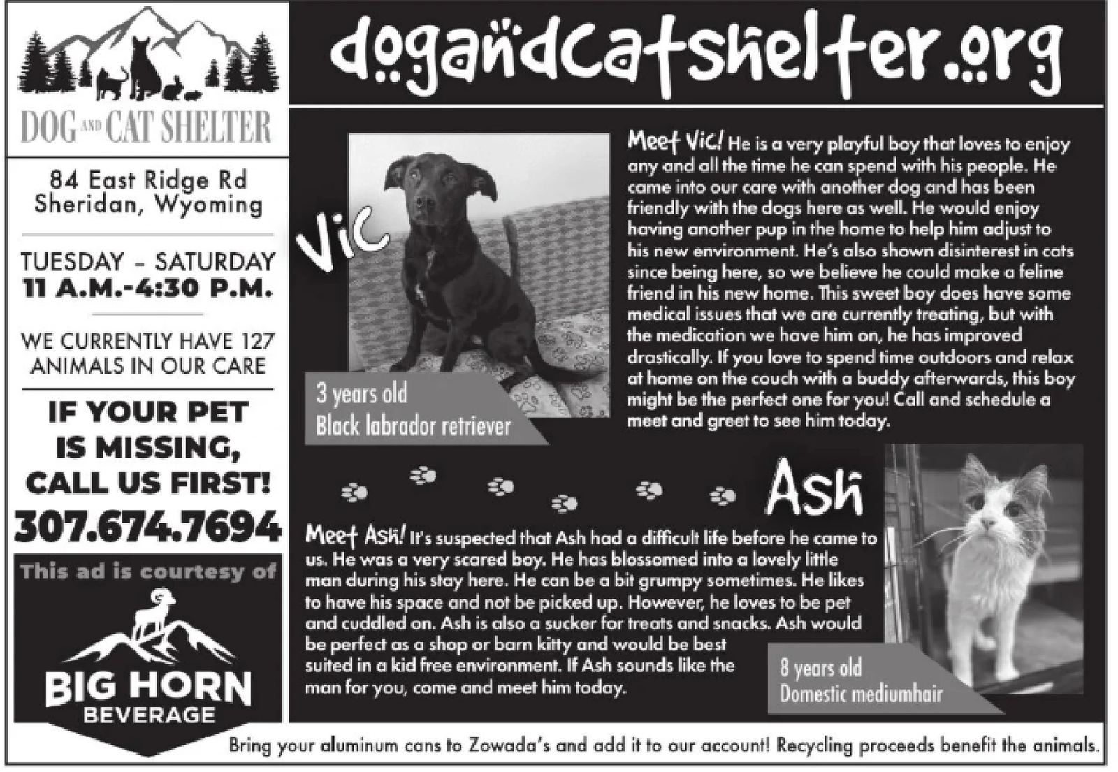 Ad promo image large