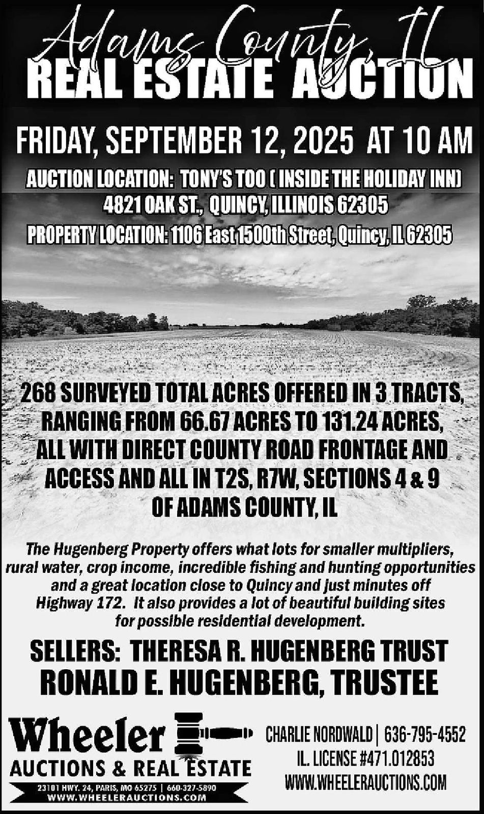 Ad promo image large