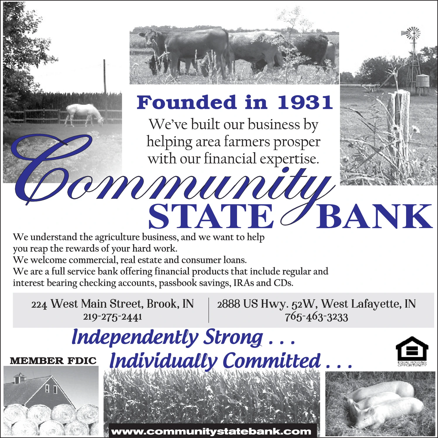 Ad promo image large