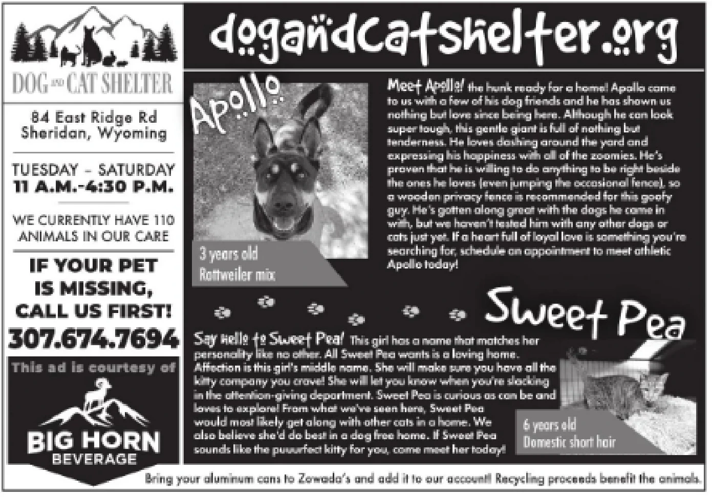 Ad promo image large