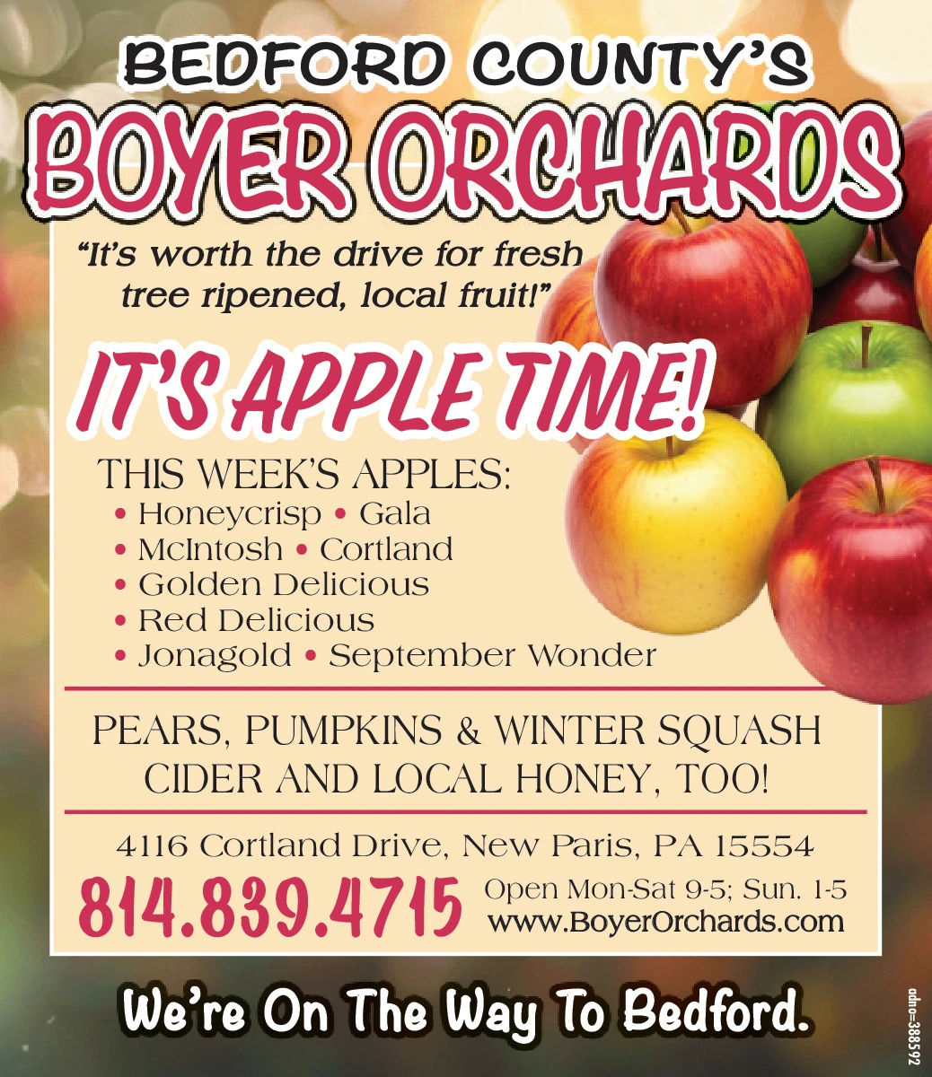 Ad promo image large