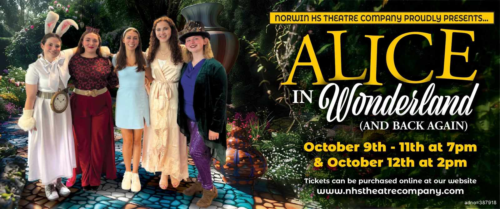 Ad promo image large