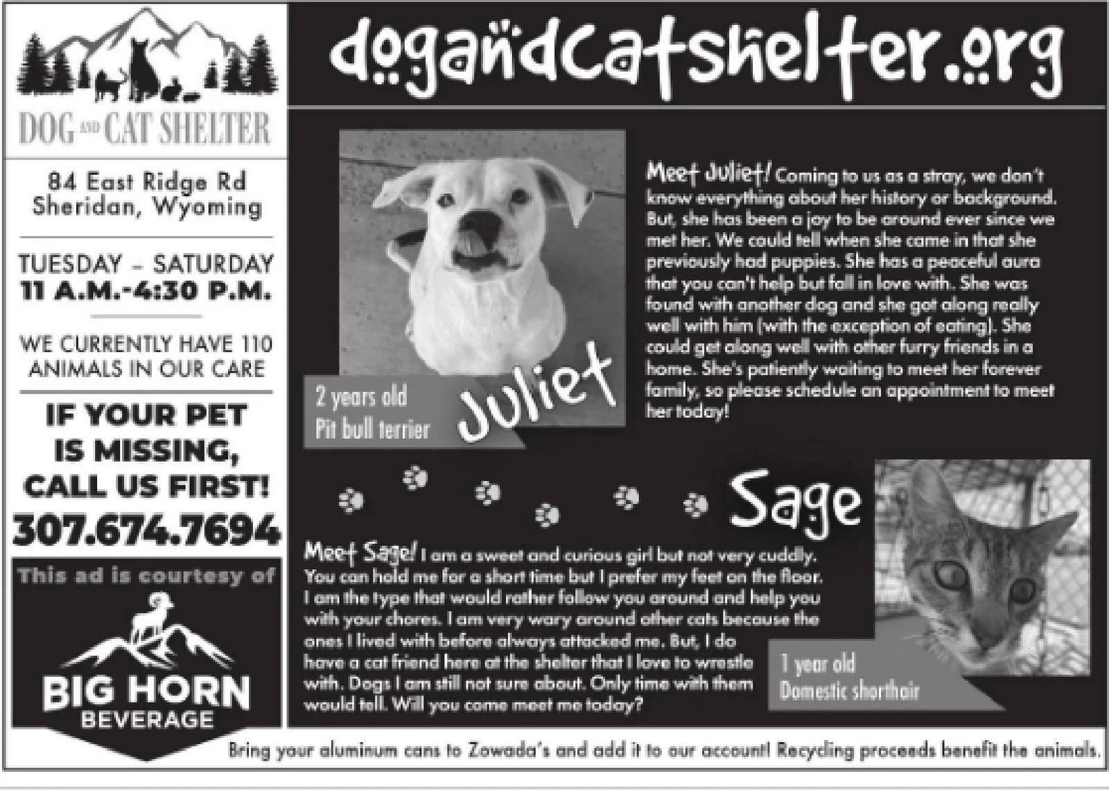 Ad promo image large