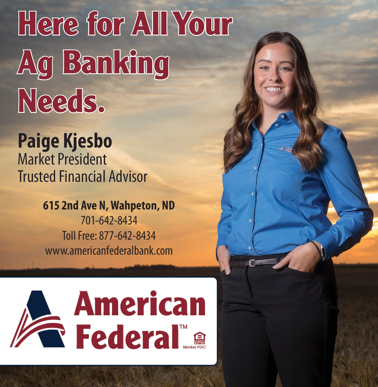 Ad promo image large