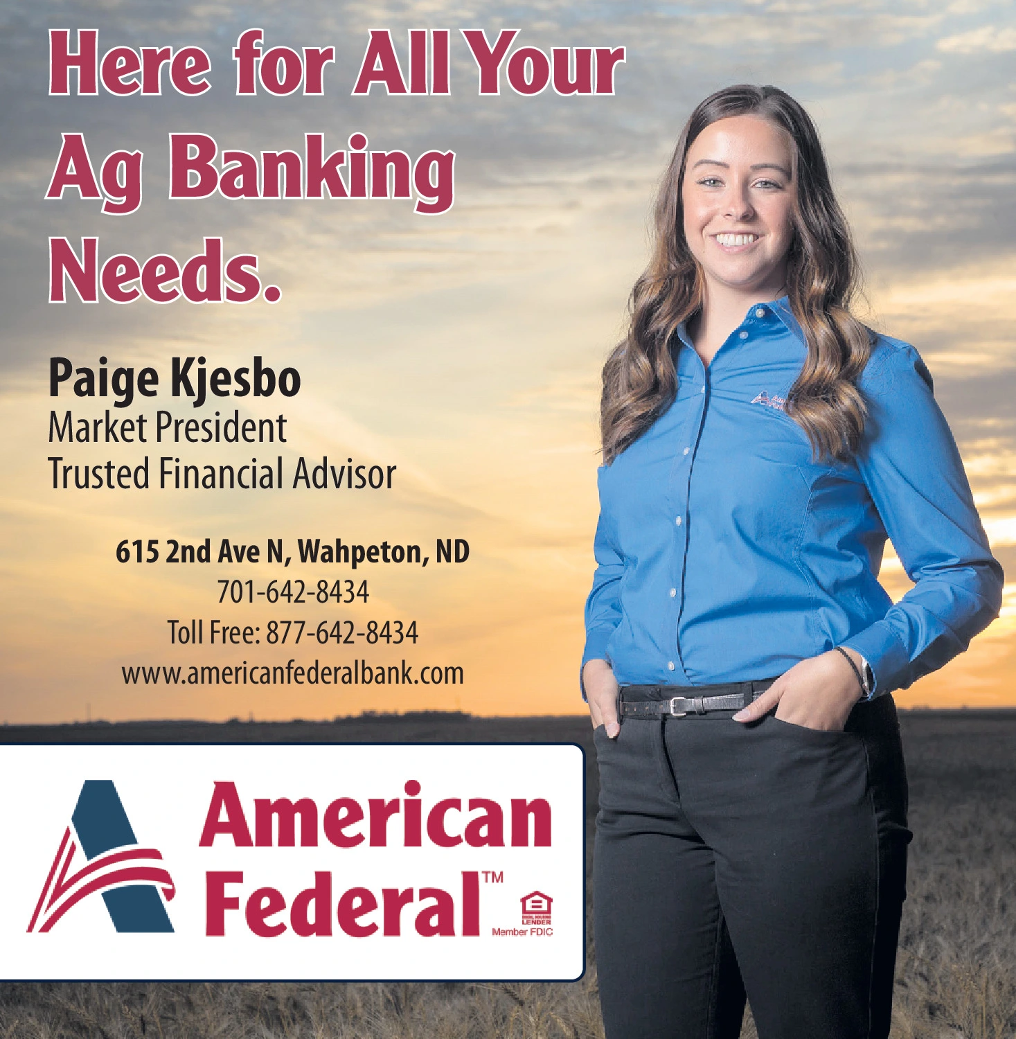 Ad promo image large