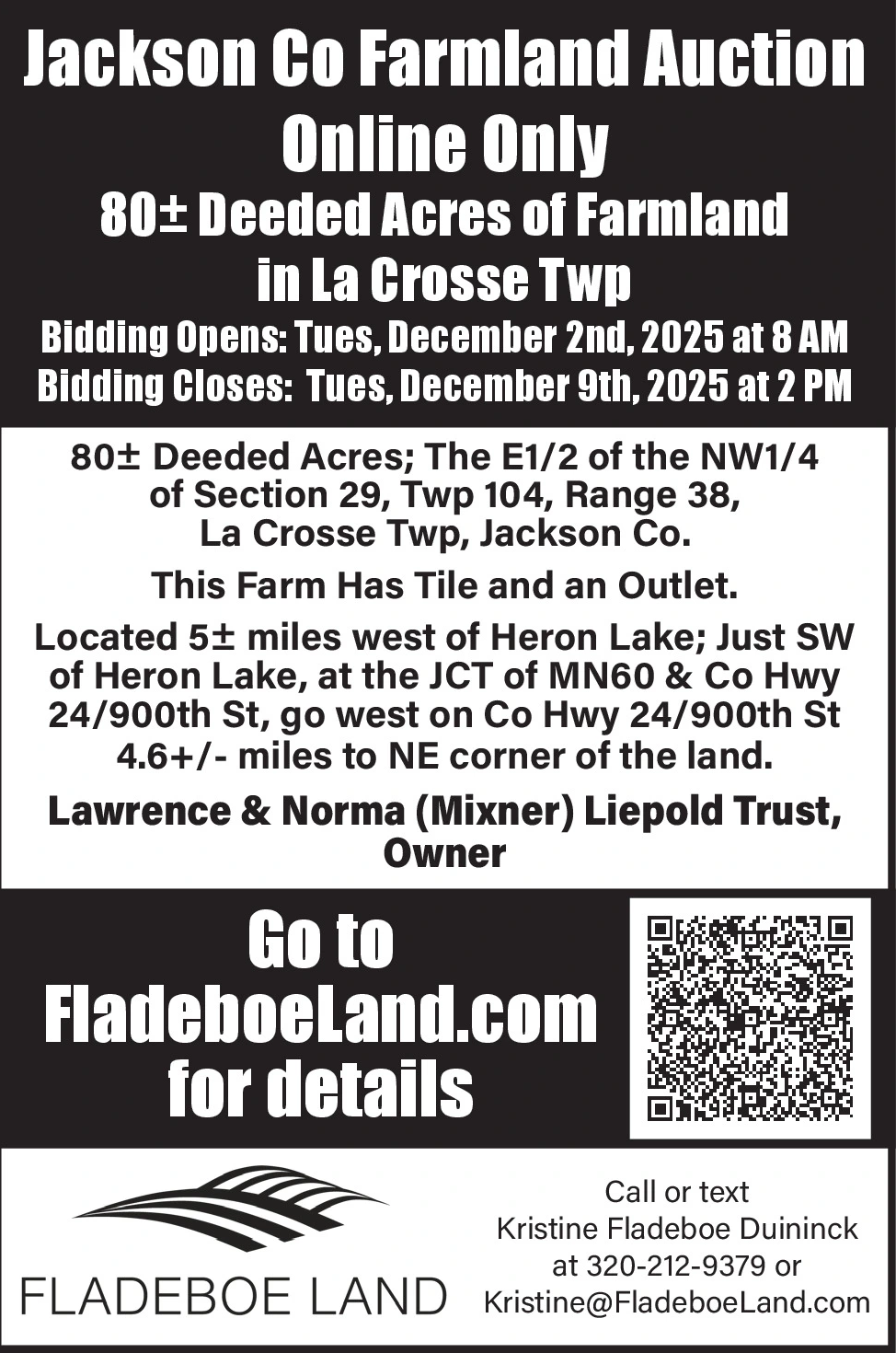 Ad promo image large