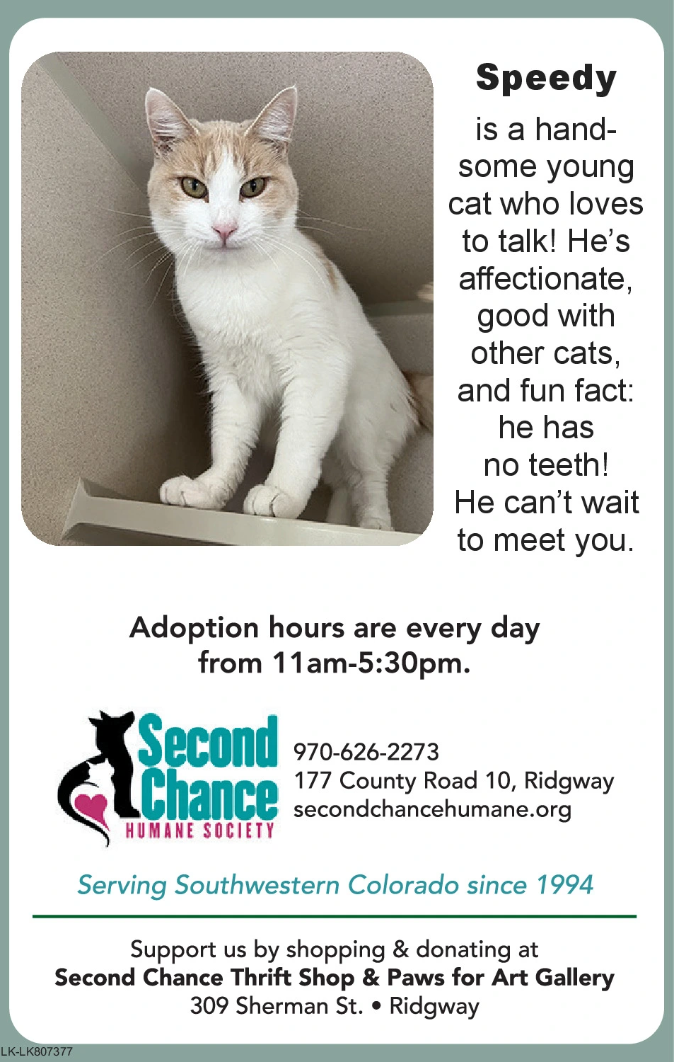 Ad promo image large