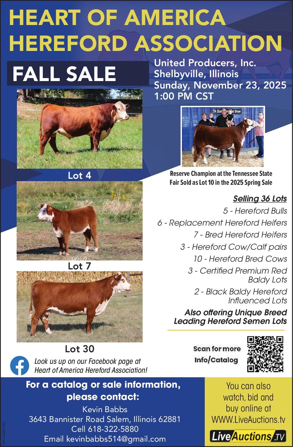 Ad promo image large