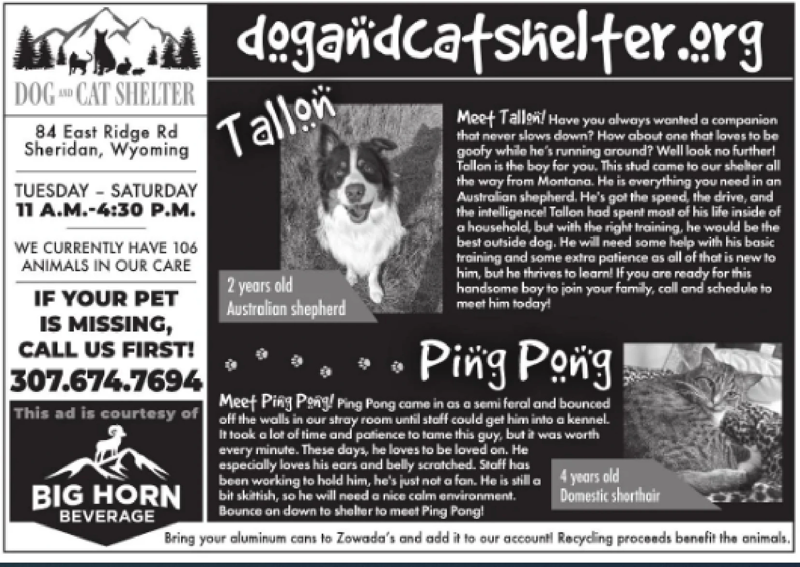 Ad promo image large