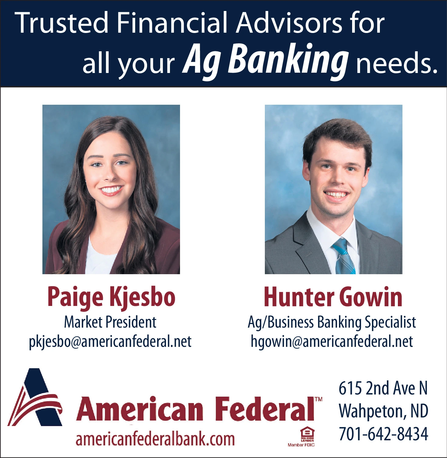 Ad promo image large