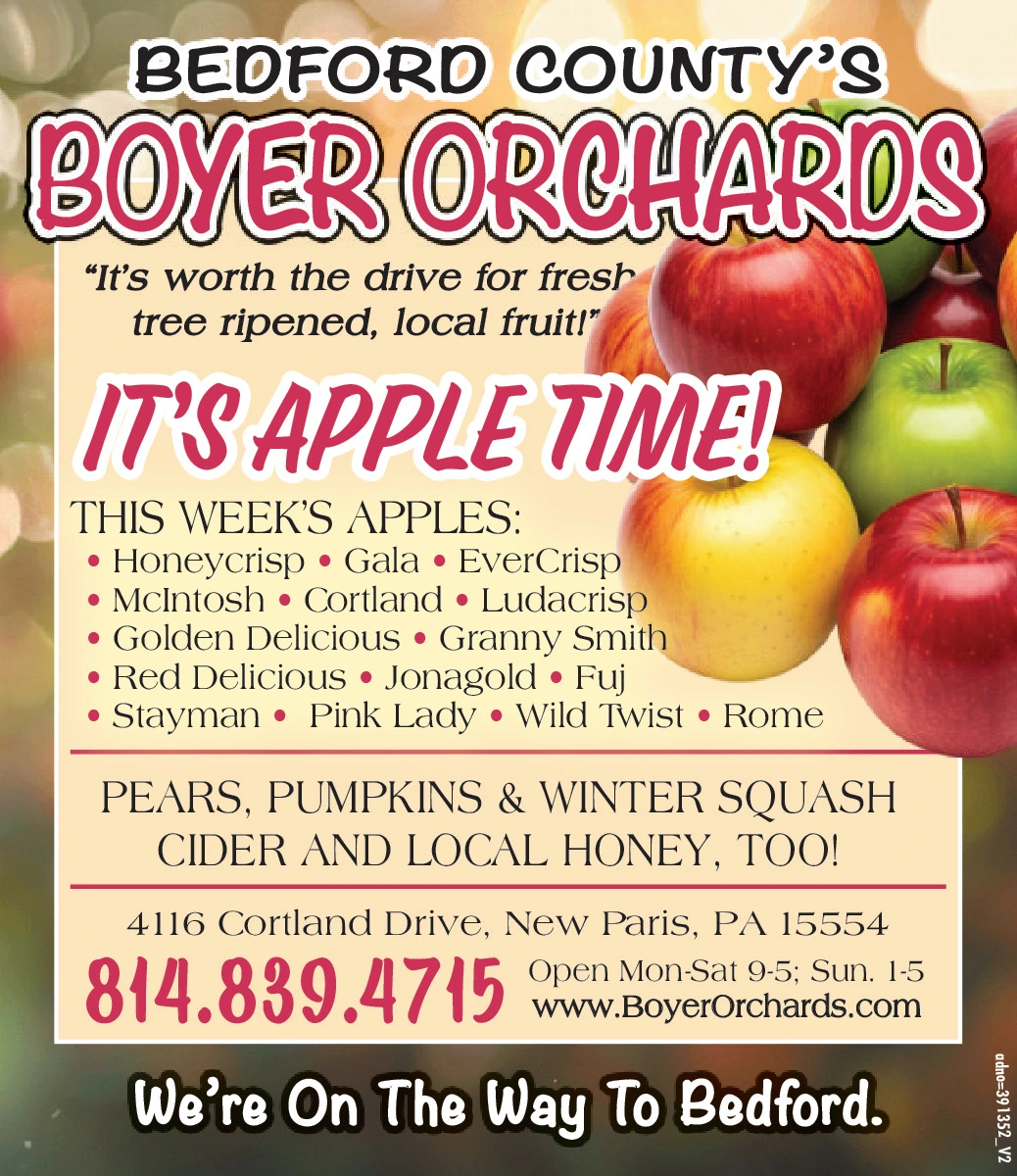 Ad promo image large