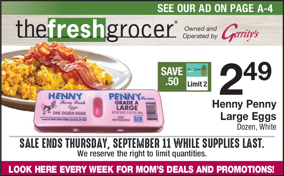 Ad promo image large