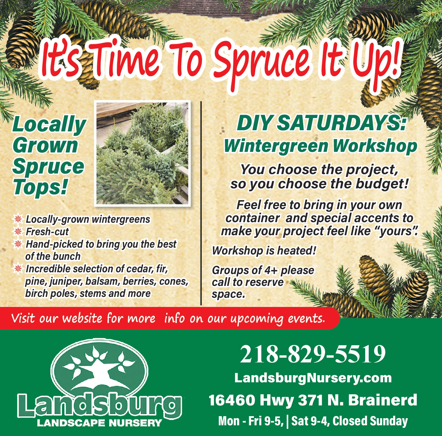 Ad promo image large