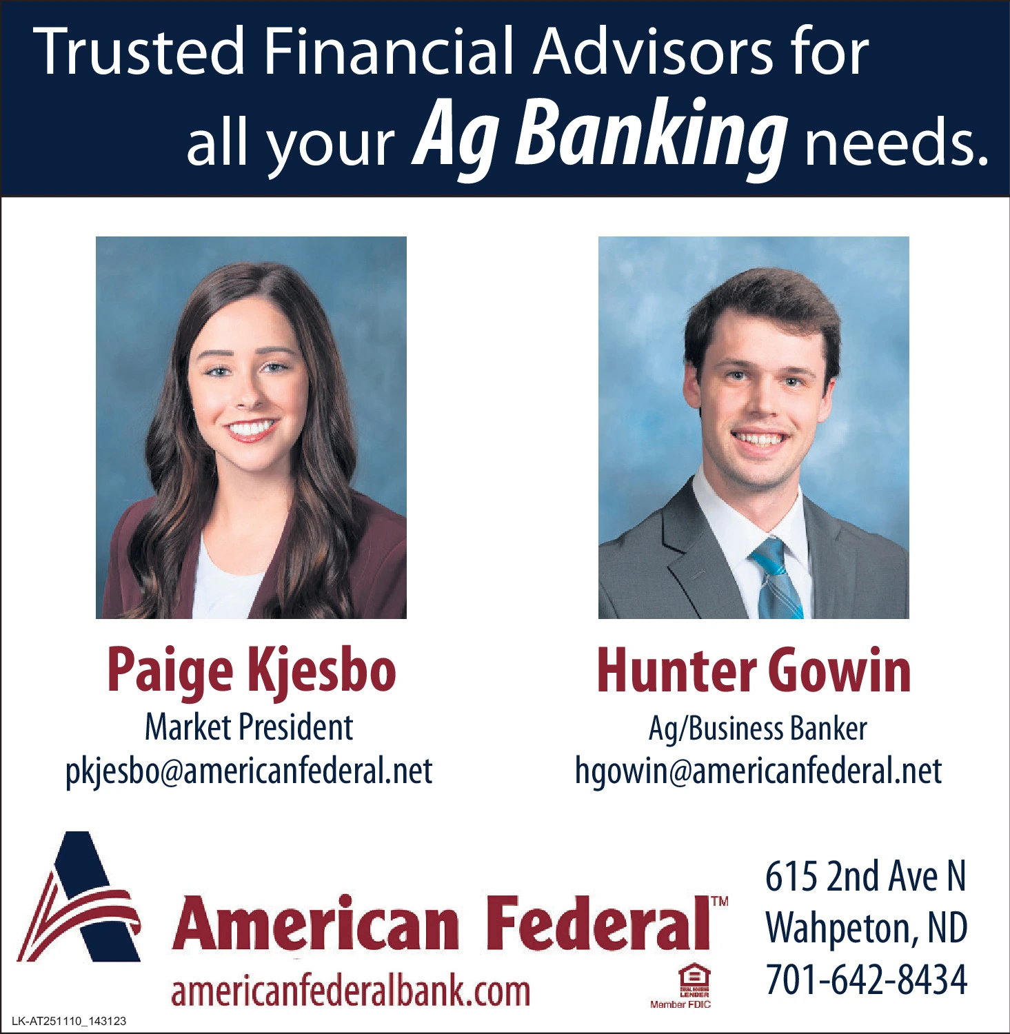 Ad promo image large