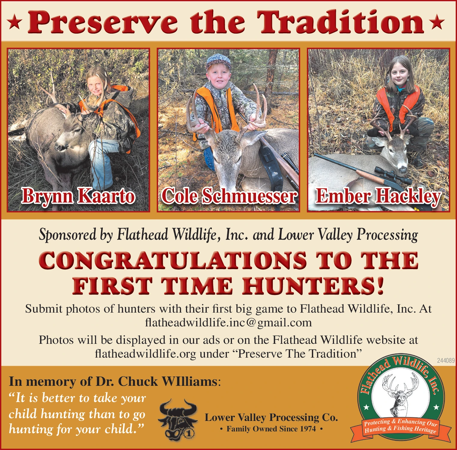 Ad promo image large