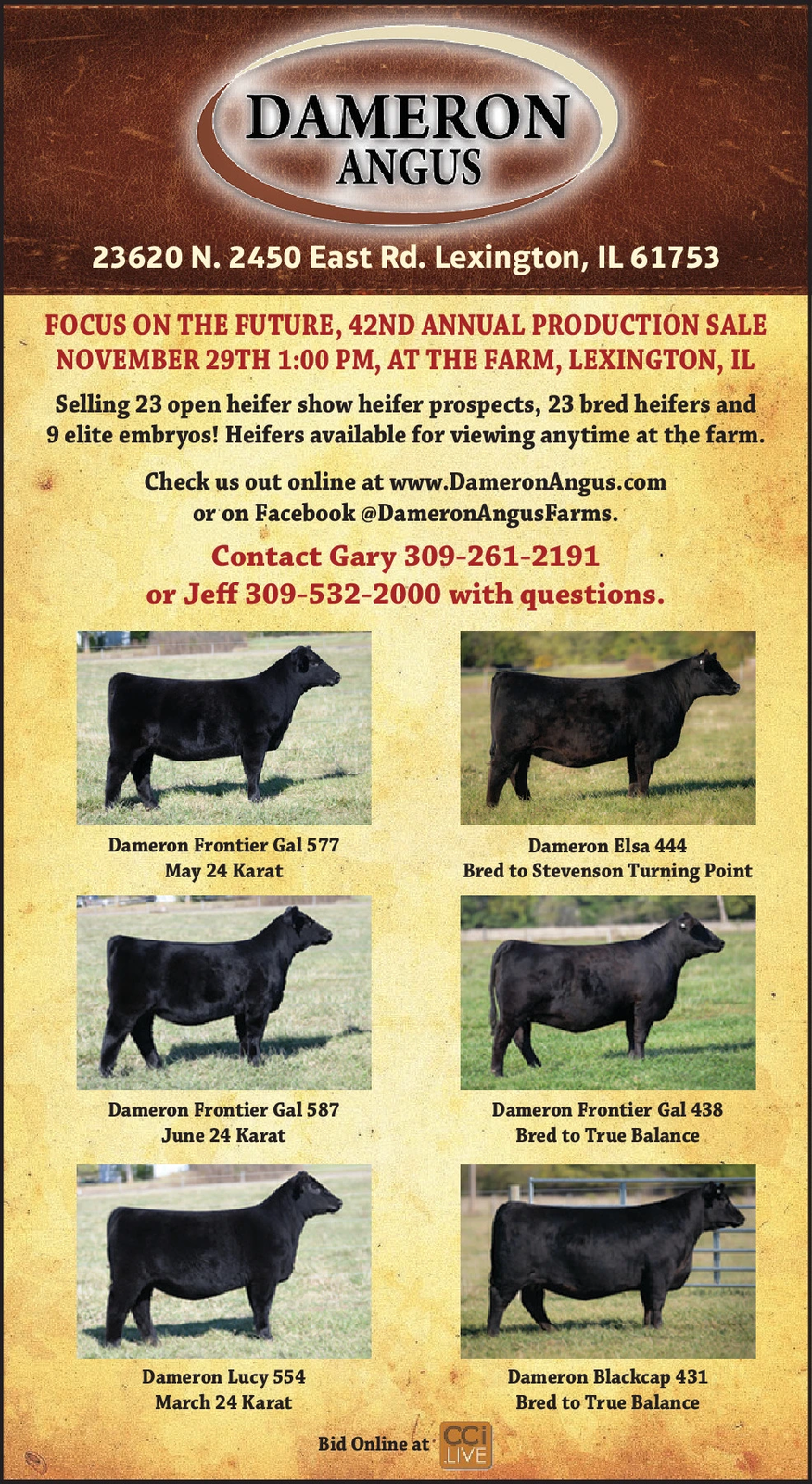 Ad promo image large