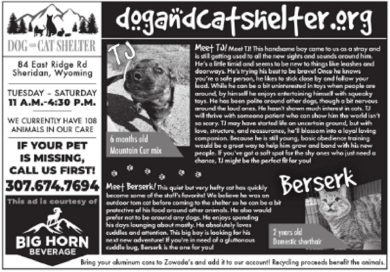 Ad promo image large