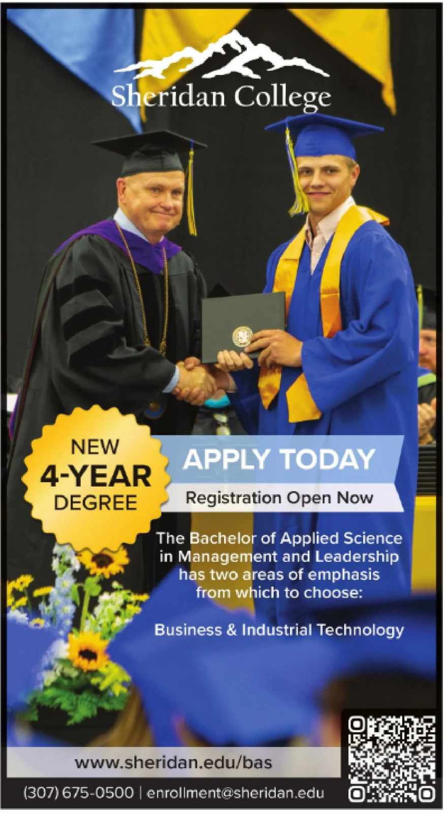 Ad promo image large