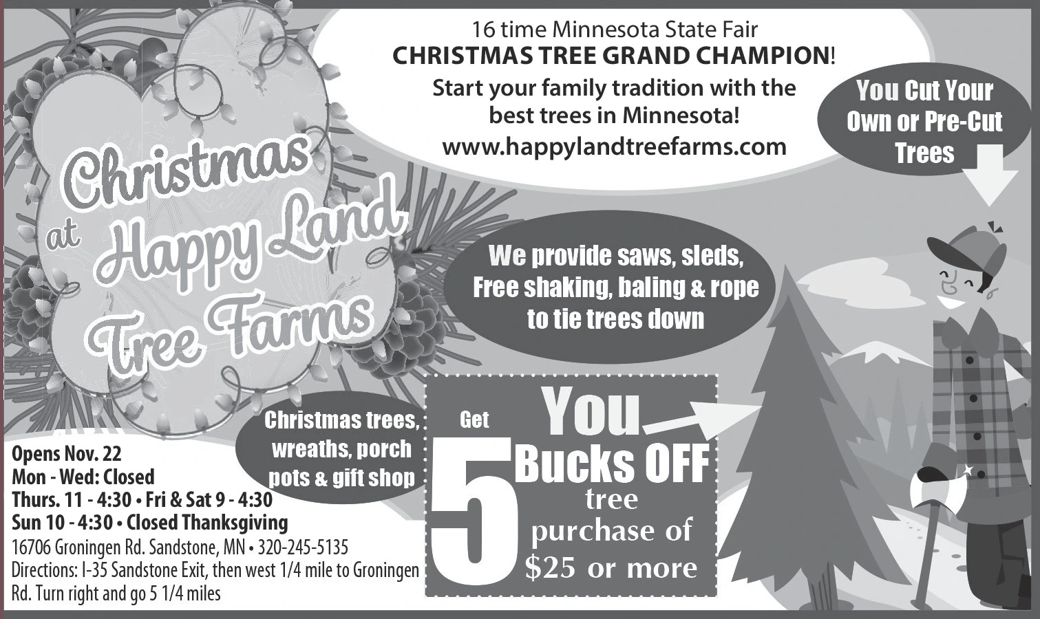 Ad promo image large