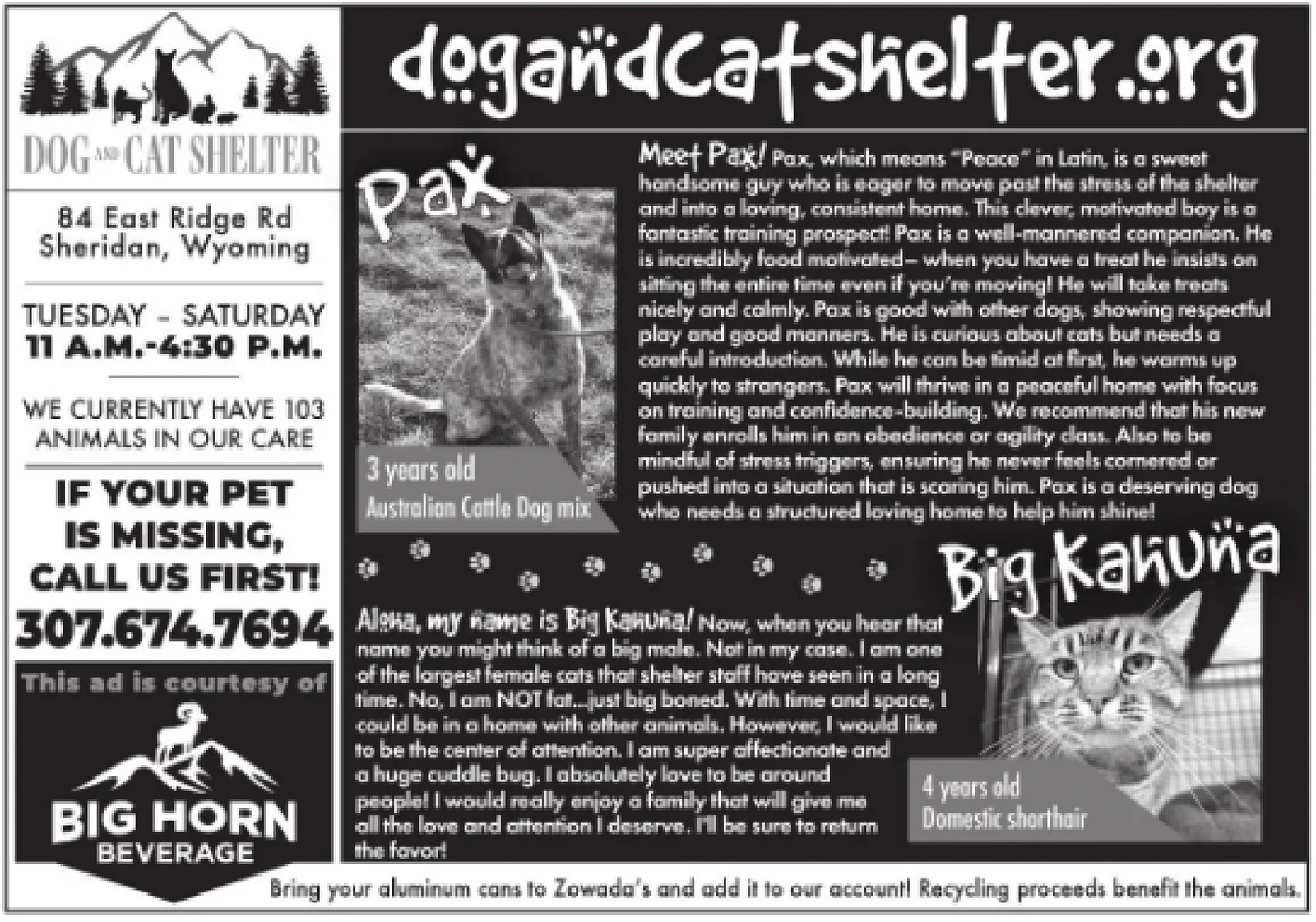 Ad promo image large