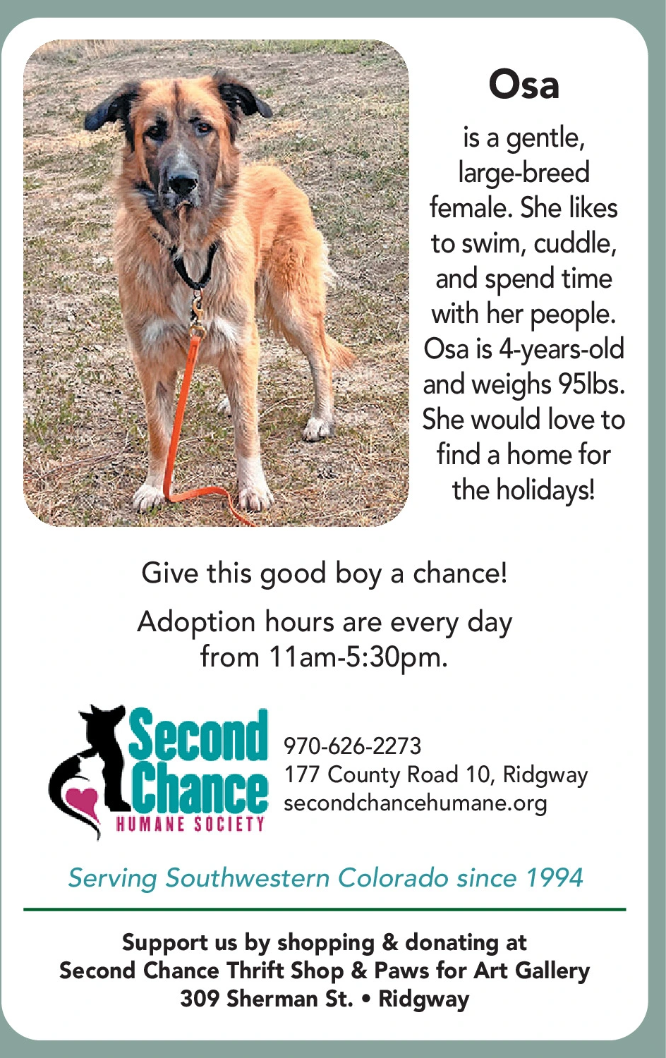 Ad promo image large