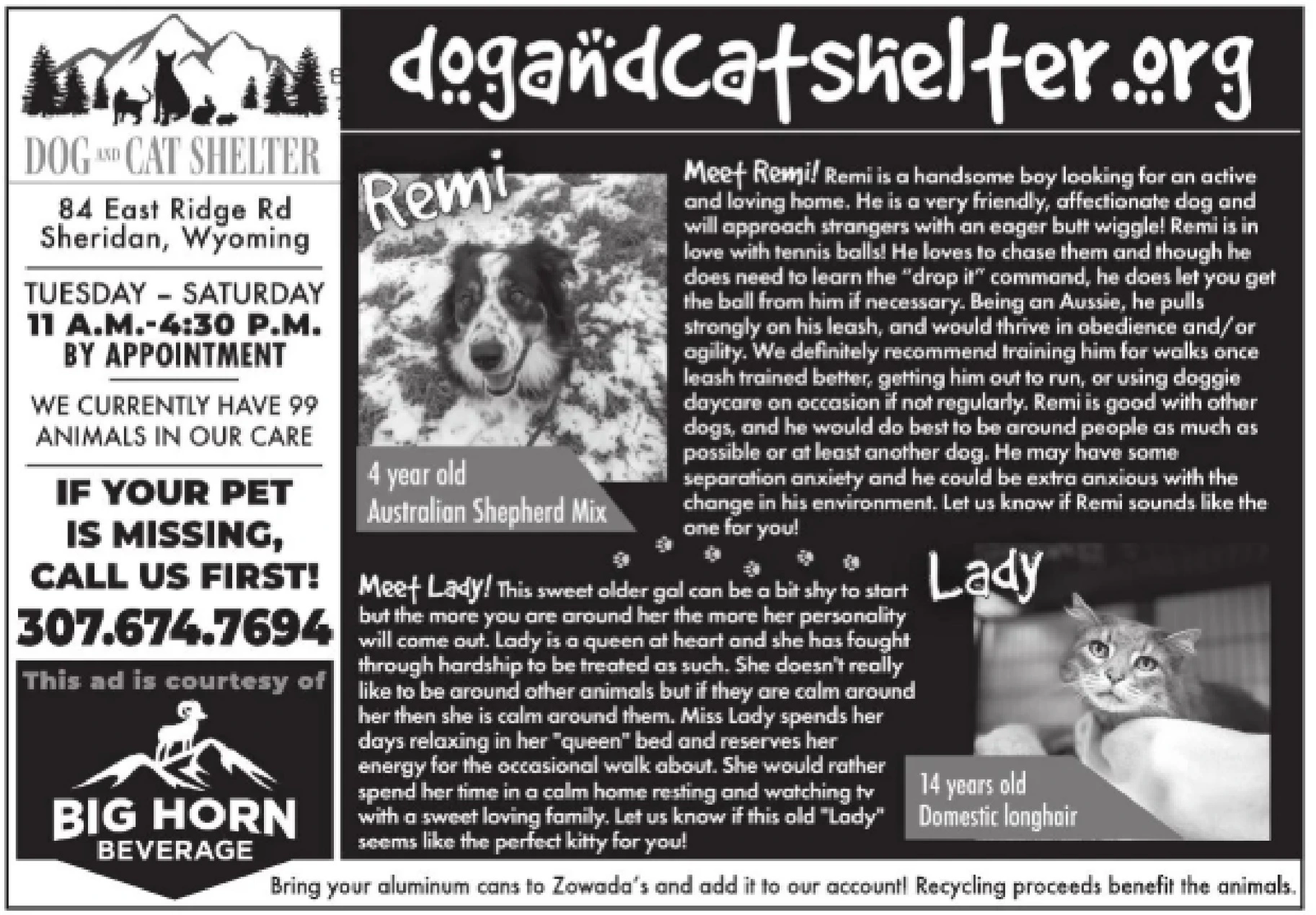 Ad promo image large