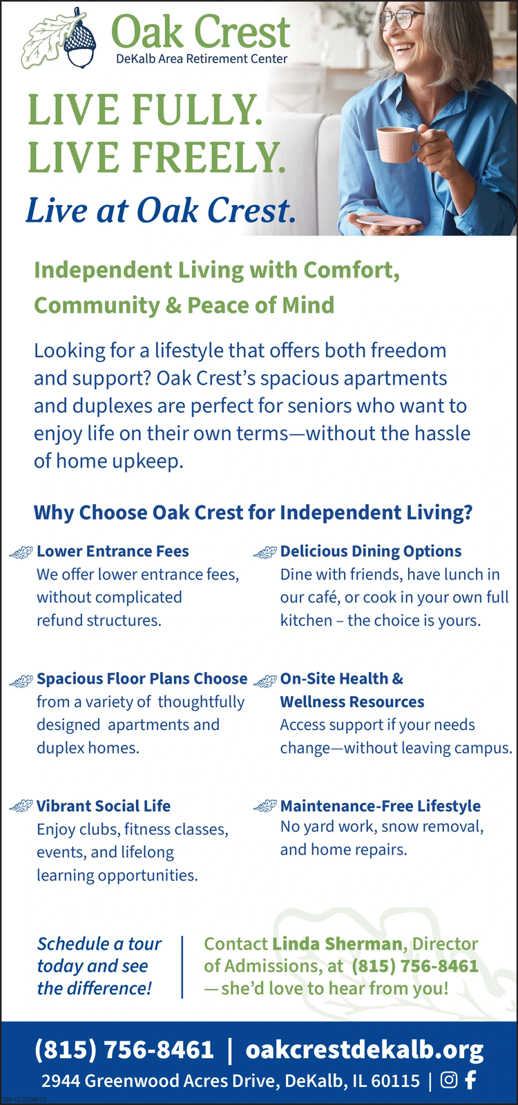 Ad promo image large