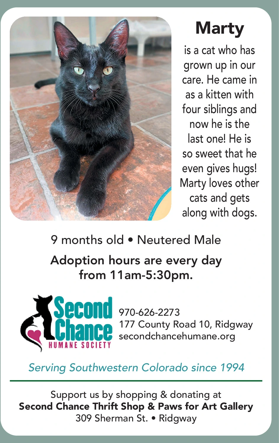 Ad promo image large