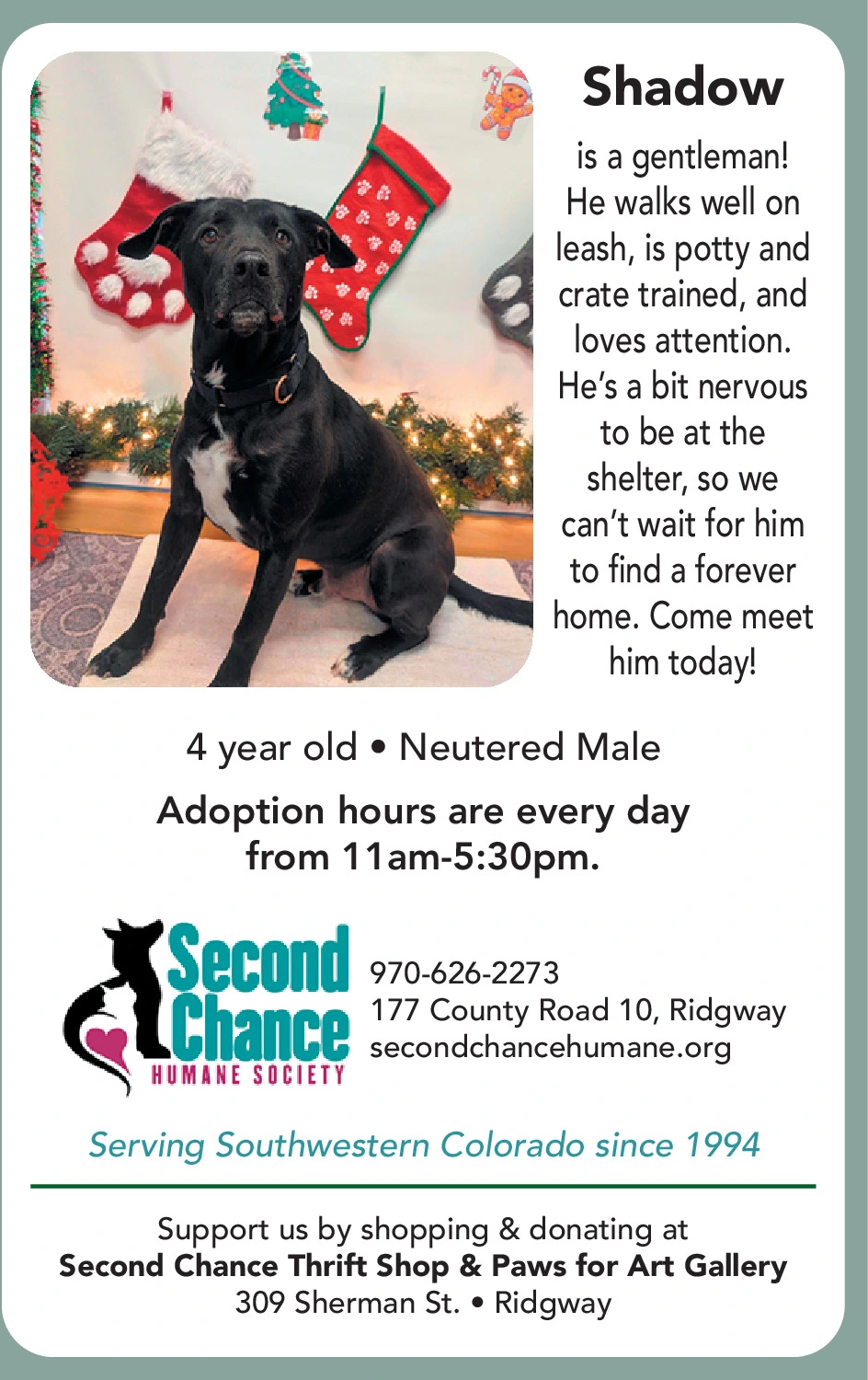 Ad promo image large