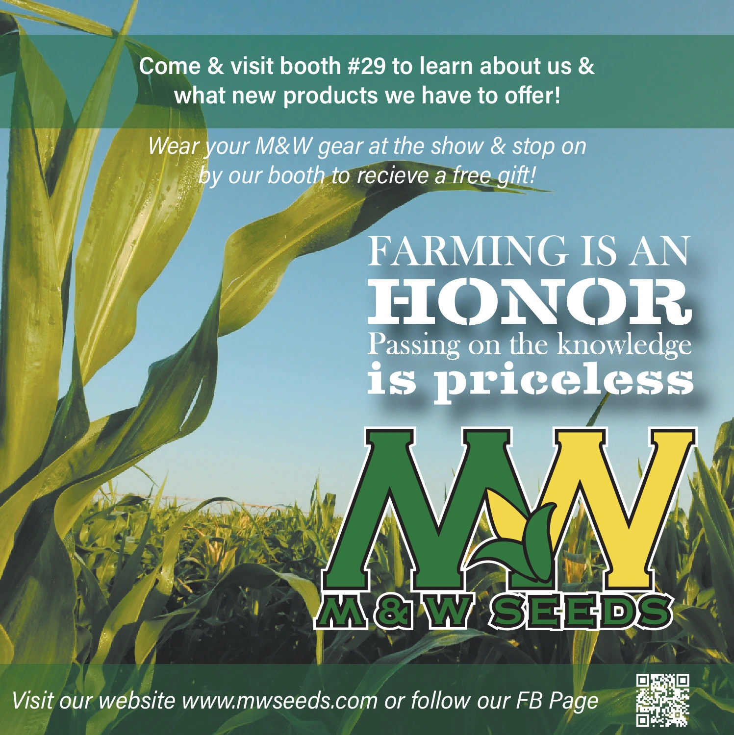 Ad promo image large