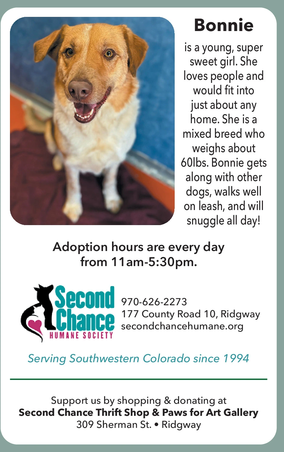 Ad promo image large