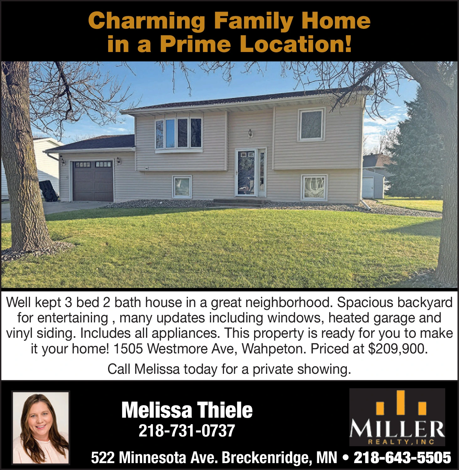 Ad promo image large