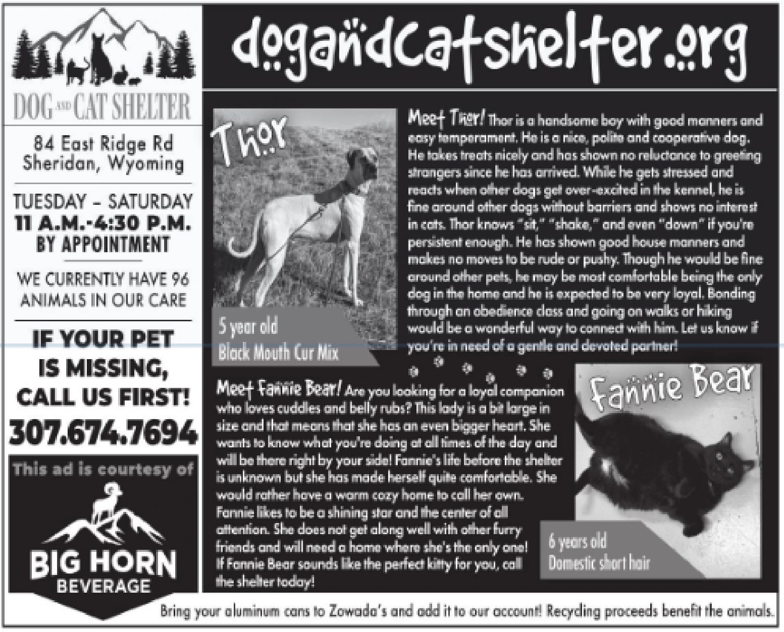 Ad promo image large