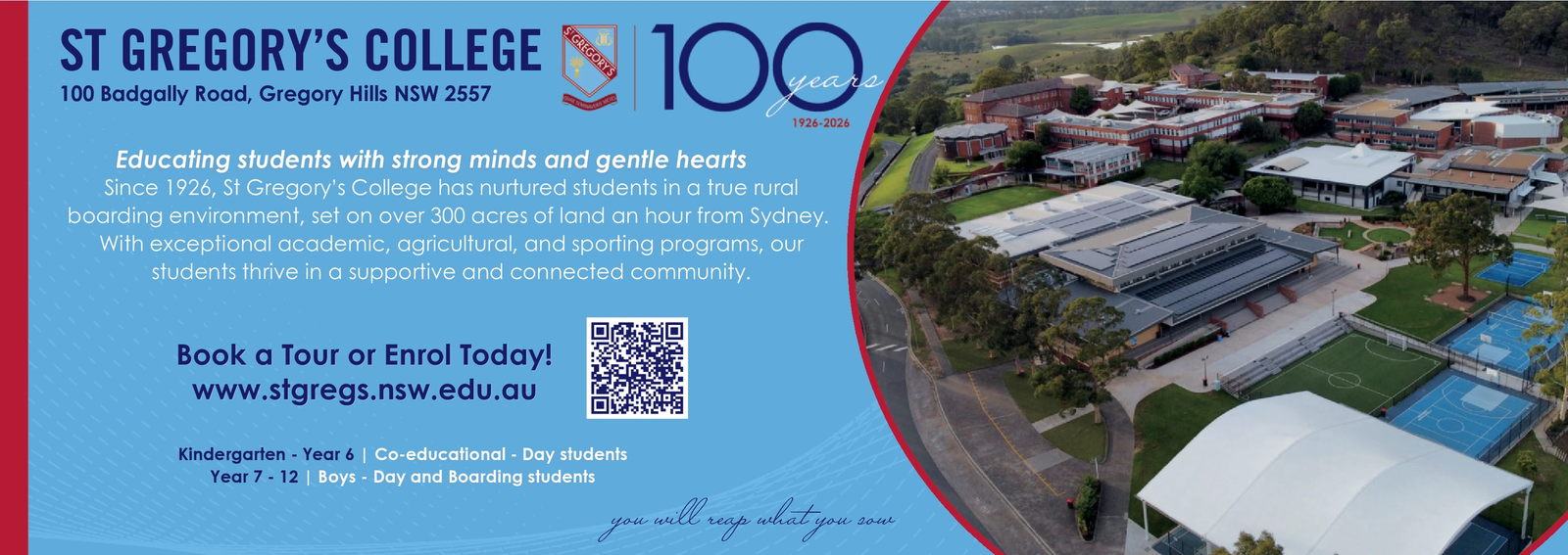 Ad promo image large