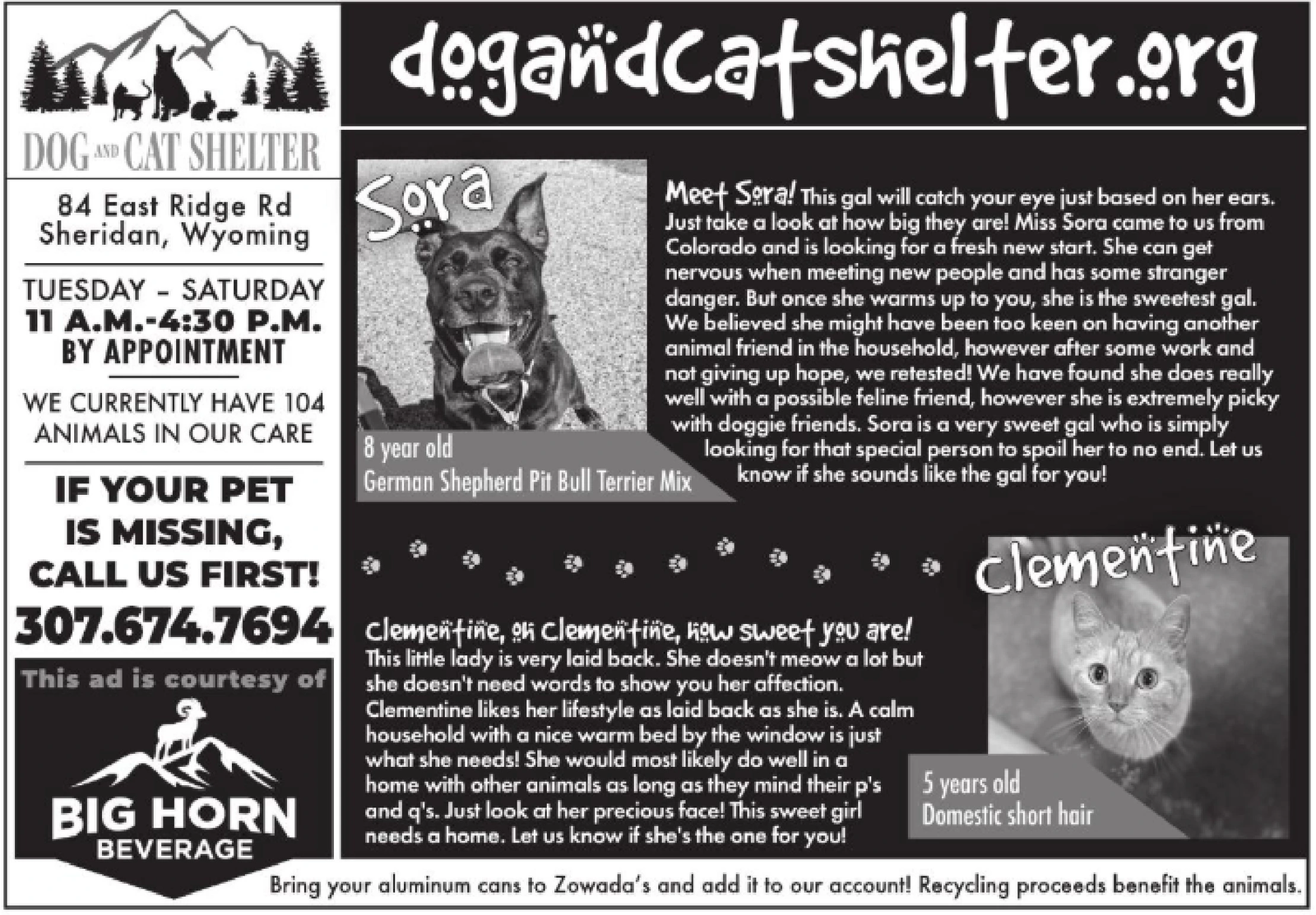 Ad promo image large