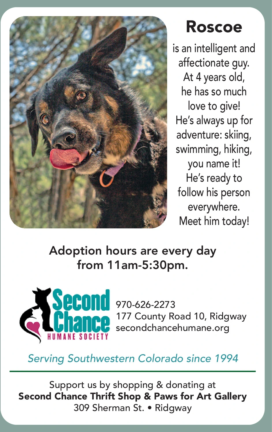 Ad promo image large