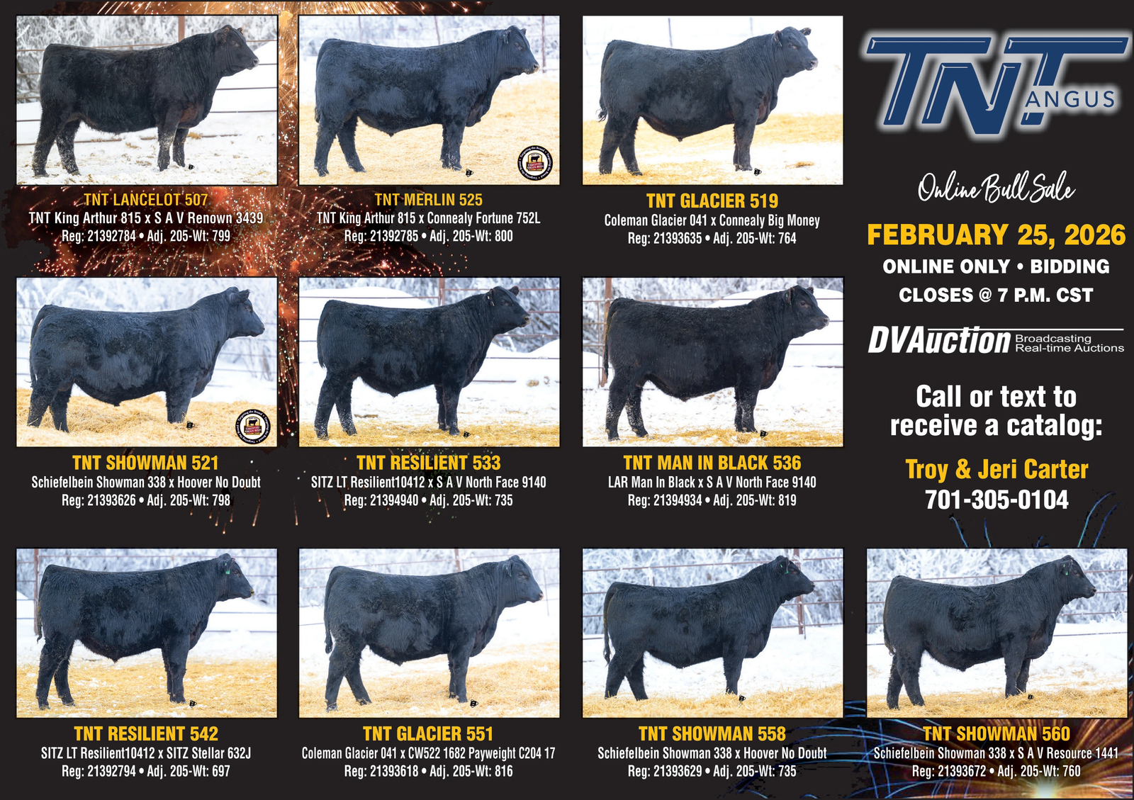 Ad promo image large