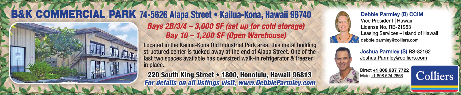 Ad promo image large